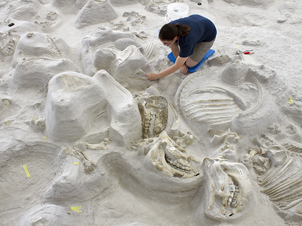 Ashfall Fossil Beds State Historical Park